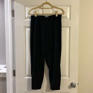 Aritzia Babaton Pants